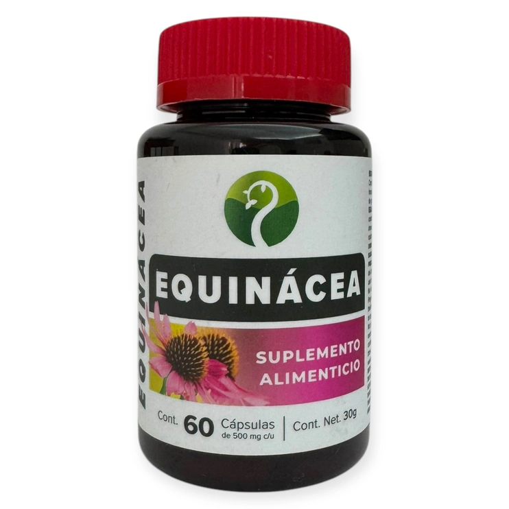 Equinácea 60 cápsulas 500mg, Foto 1 Trébol Naturismo