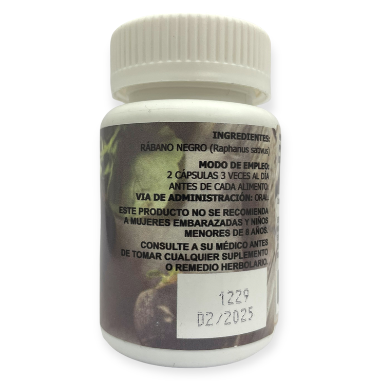 Rábano negro 60 caps. SAP-019, Foto 2 Trébol Naturismo